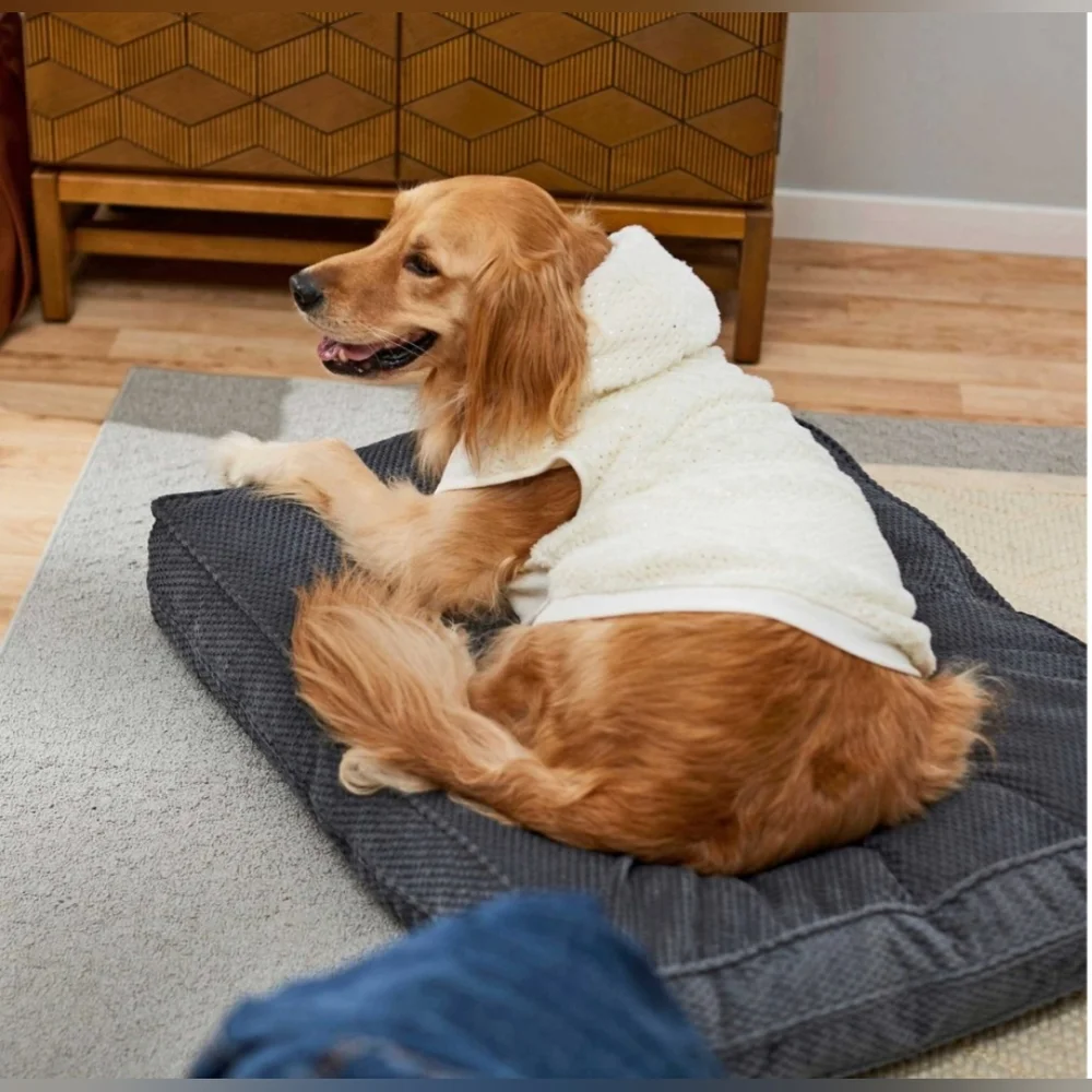 NWT FRISCO Plush Fur Dog Hoodie Ivory White with Gold Specks size X-Large